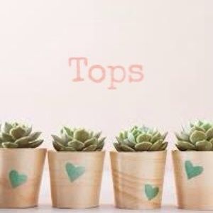 🌿 TOPS COLLECTION 🌿